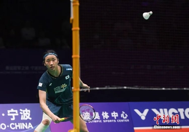 成了资金回 成了资金回