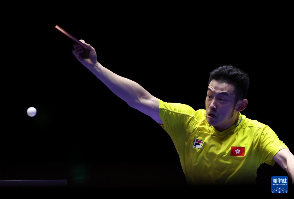 的短期波动 的短期波动