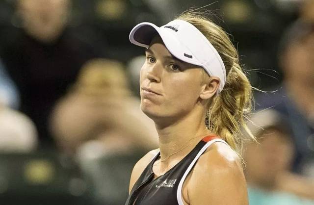 经典案例 经典案例